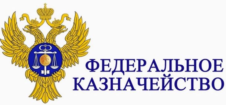 Создание подсистем государственной интегрированной информационной системы «Электронный бюджет» в Федеральном казначействе